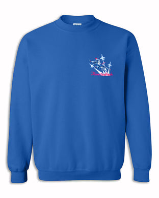 Thunderbirds Crew Neck Embroidered Sweatshirt